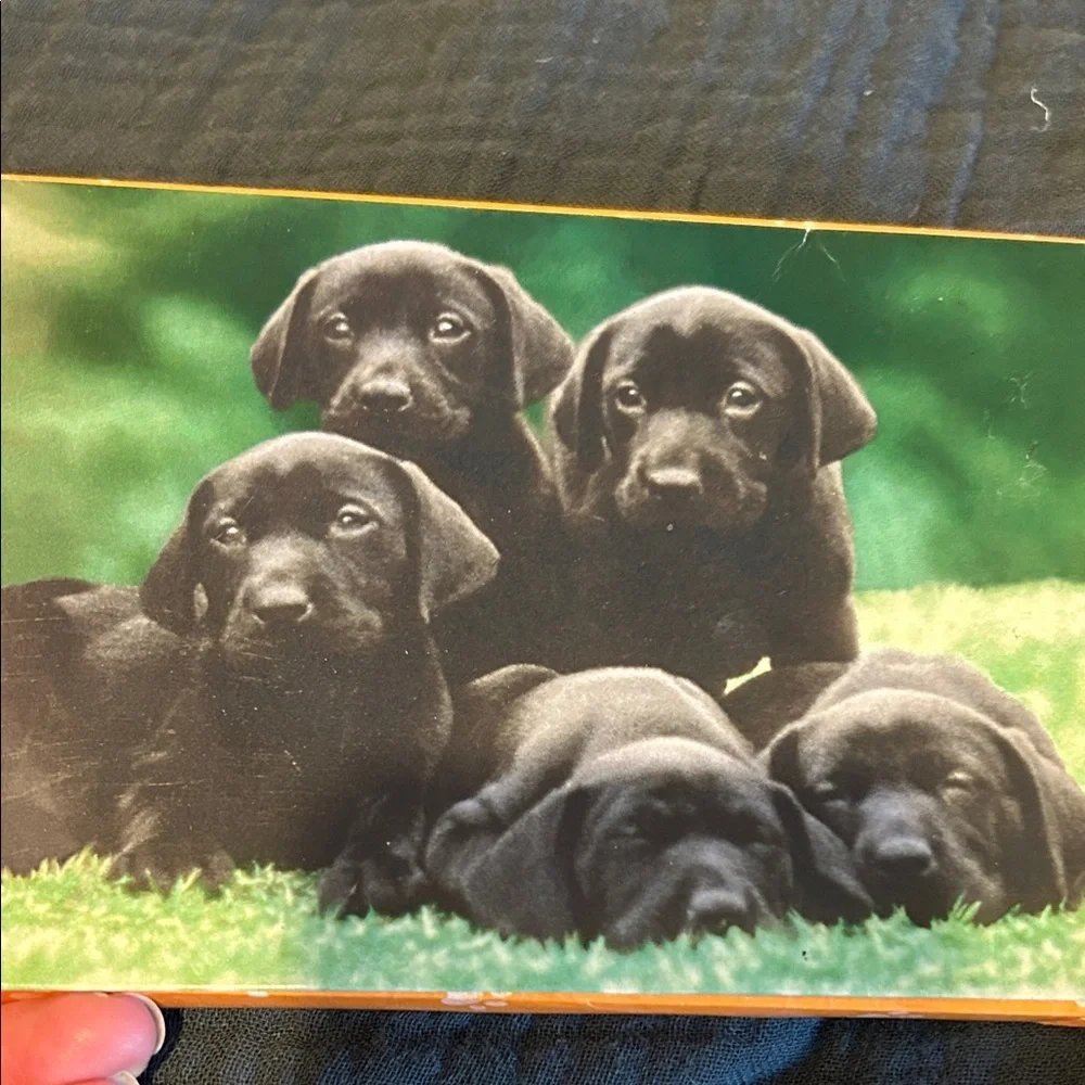Notecard bundle